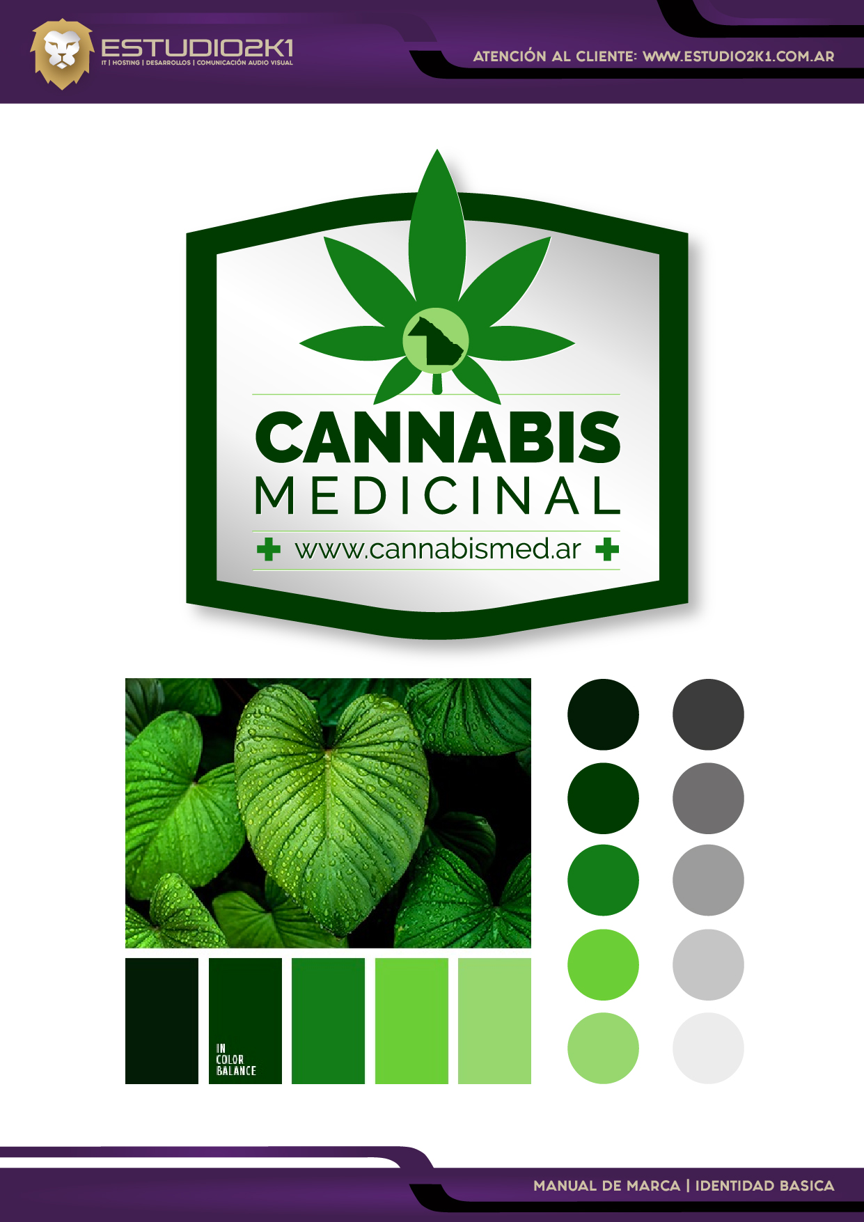 MARCA E IDENTIDAD CORPORATIVA BASICO - Image 10